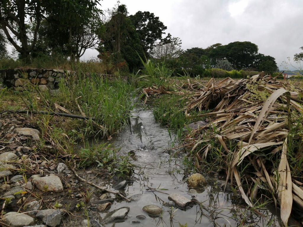 Estudio Busca Garantizar la Vida a Futuro del Rio Nima, en PALMIRA